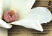 Canvas Texture and magnolia 55679 additionalThumb 4