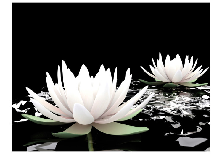 Photo Wallpaper Beauty of Plants - Floating White Water Lilies on a Black Background 60179 additionalImage 1