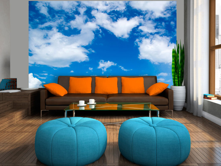 Wall Mural Under the Open Sky - Landscape Depicting Blue Sky with Clouds 60279