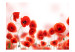 Wall Mural Poppies - Modern Abstraction of Red Poppies on a Contrasting Background 60379 additionalThumb 1