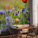 Wall Mural Meadow - Cornflowers and Macro Shot of Flowers on a Blurred Meadow Background 60479 additionalThumb 4