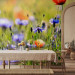Wall Mural Meadow - Cornflowers and Macro Shot of Flowers on a Blurred Meadow Background 60479 additionalThumb 6