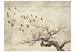Wall Mural Flock of birds 61279 additionalThumb 1