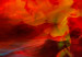 Canvas Dance of Colourful Flames 62079 additionalThumb 5