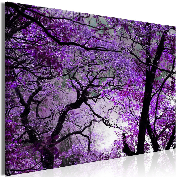 Canvas Print Purple Afternoon (1 Part) Wide 114189 additionalImage 2