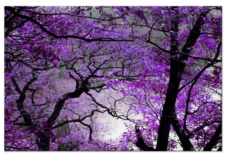 Canvas Print Purple Afternoon (1 Part) Wide 114189