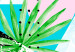 Poster Aloha! - Composition in a summery atmosphere with tropical leaves and flowers 114289 additionalThumb 5