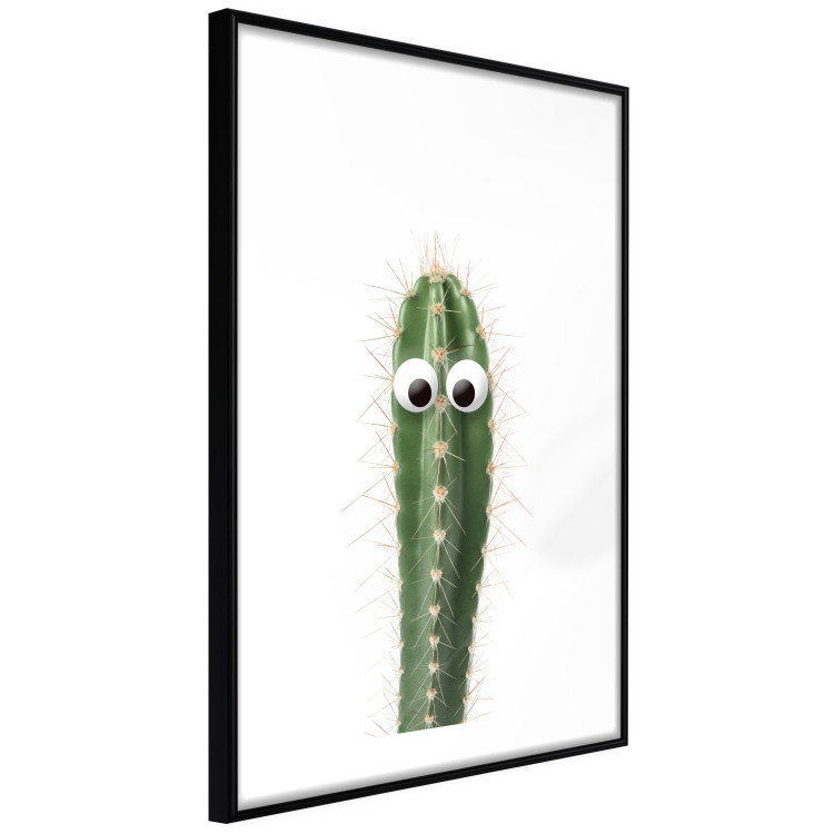 Wall Poster Living Cactus - funny green prickly plant with eyes on a white background 116889 additionalImage 13