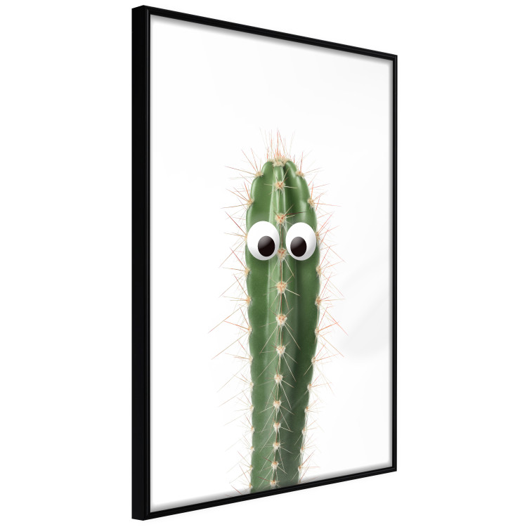 Wall Poster Living Cactus - funny green prickly plant with eyes on a white background 116889 additionalImage 12