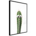 Wall gallery pictures Cactus Gang 124730 additionalThumb 3