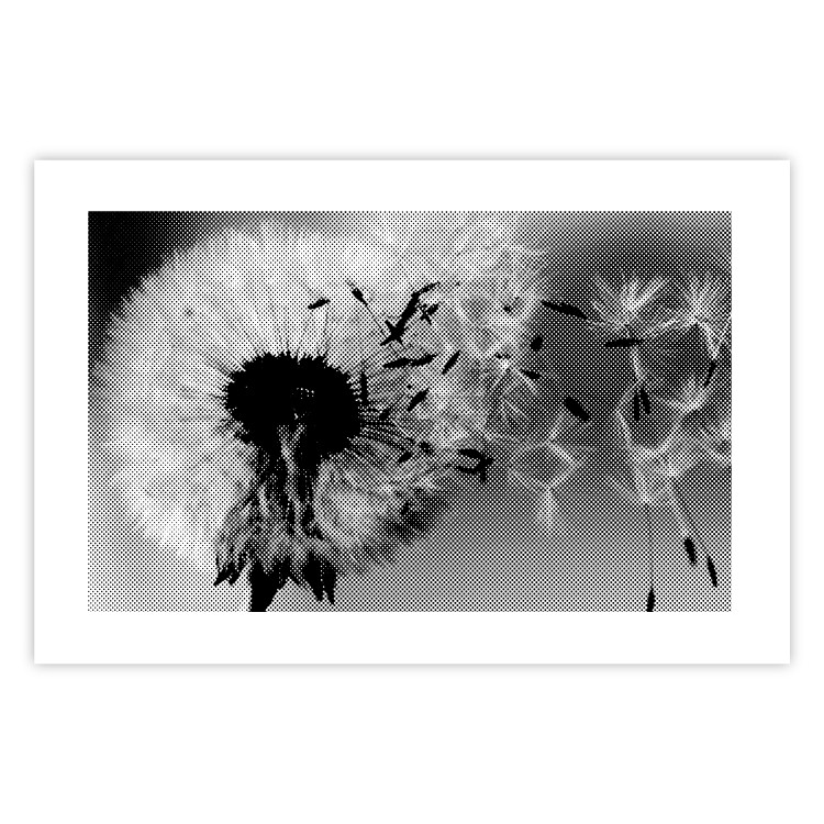 Poster Fleeing Memory - black and white composition with scattered dandelions 118289 additionalImage 20