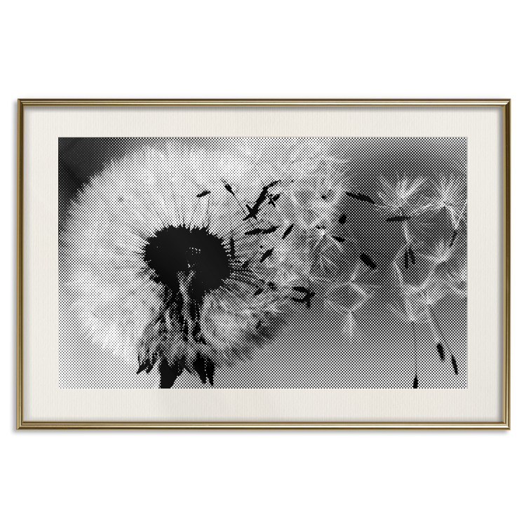 Poster Fleeing Memory - black and white composition with scattered dandelions 118289 additionalImage 27