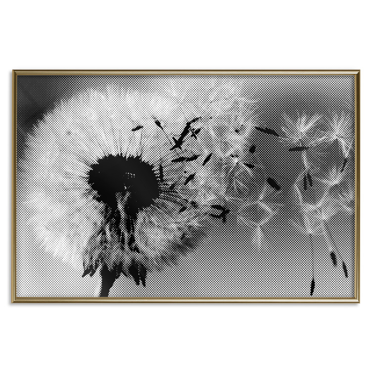 Poster Fleeing Memory - black and white composition with scattered dandelions 118289 additionalImage 16