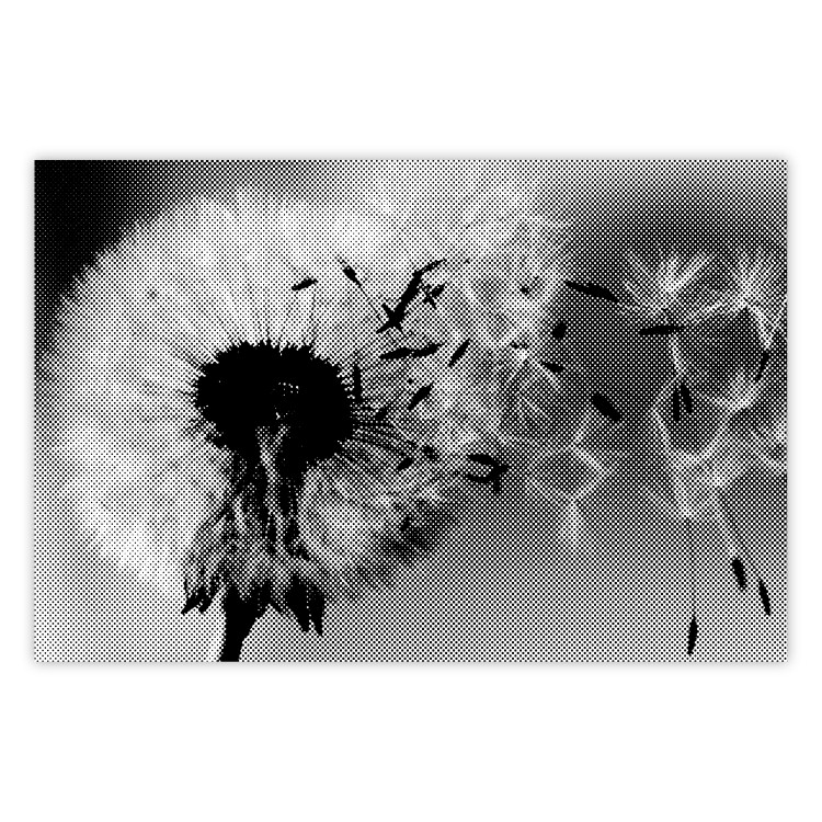 Poster Fleeing Memory - black and white composition with scattered dandelions 118289