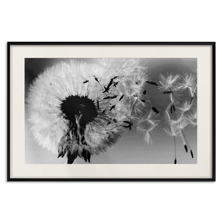 Poster Fleeing Memory - black and white composition with scattered dandelions 118289 additionalImage 26