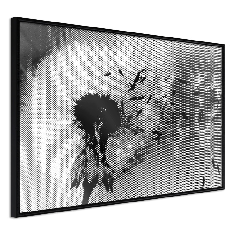 Poster Fleeing Memory - black and white composition with scattered dandelions 118289 additionalImage 12