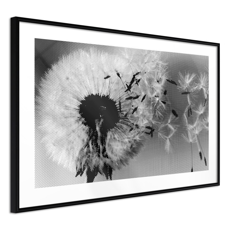 Poster Fleeing Memory - black and white composition with scattered dandelions 118289 additionalImage 13