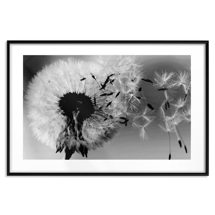 Poster Fleeing Memory - black and white composition with scattered dandelions 118289 additionalImage 18