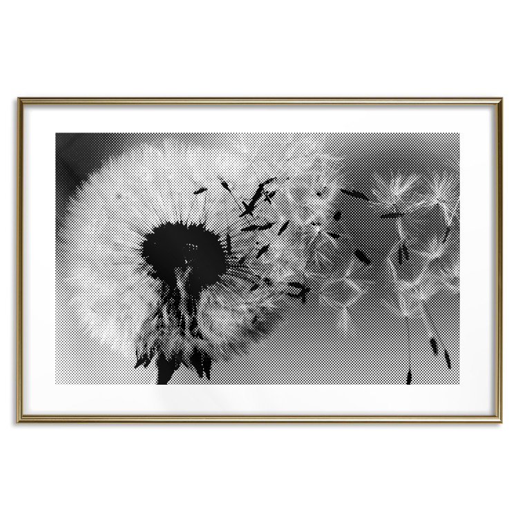 Poster Fleeing Memory - black and white composition with scattered dandelions 118289 additionalImage 19