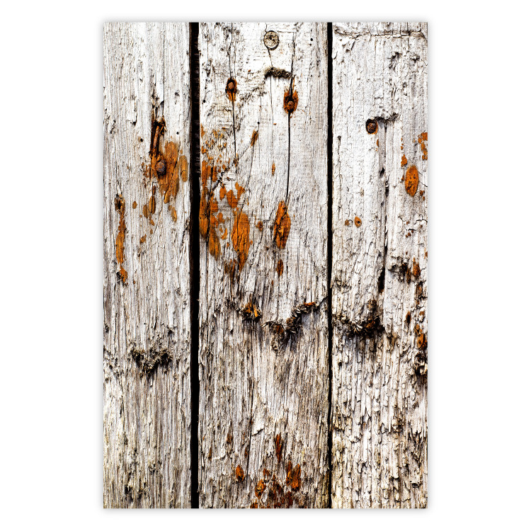 Poster Timeless Tale - texture of wooden planks with brown dust 124489