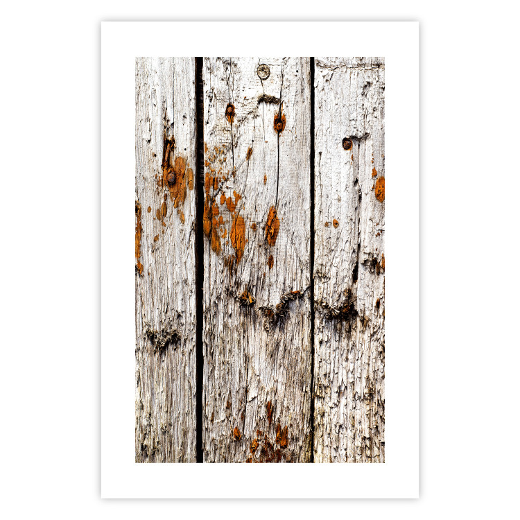 Poster Timeless Tale - texture of wooden planks with brown dust 124489 additionalImage 19