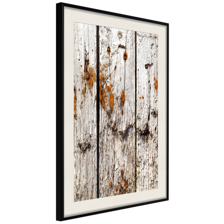 Poster Timeless Tale - texture of wooden planks with brown dust 124489 additionalImage 3