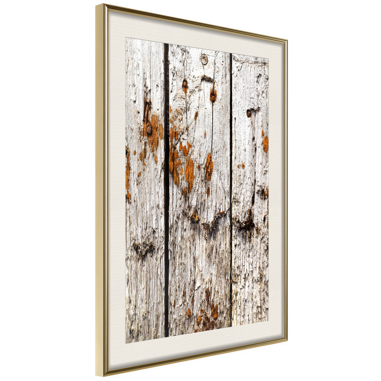 Poster Timeless Tale - texture of wooden planks with brown dust 124489 additionalImage 2