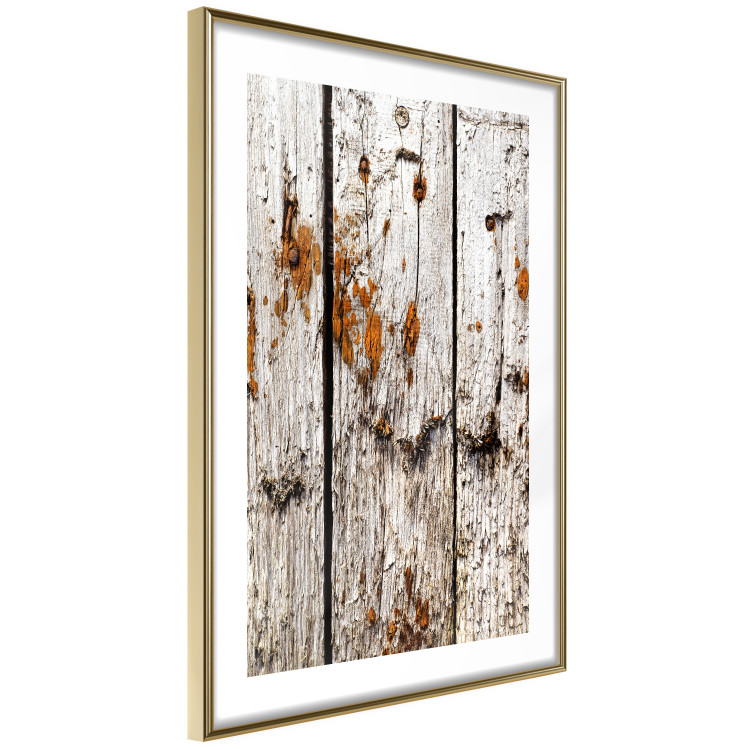 Poster Timeless Tale - texture of wooden planks with brown dust 124489 additionalImage 6