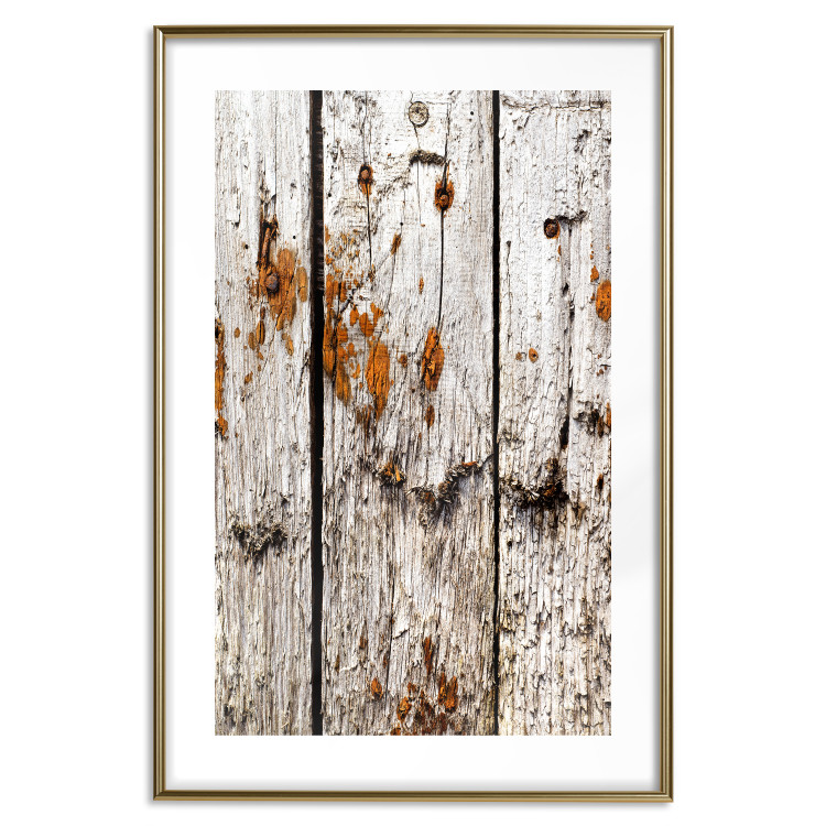 Poster Timeless Tale - texture of wooden planks with brown dust 124489 additionalImage 16