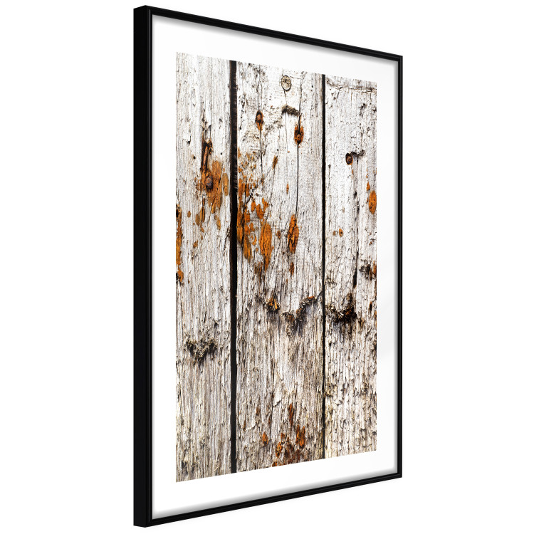Poster Timeless Tale - texture of wooden planks with brown dust 124489 additionalImage 11