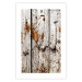 Poster Timeless Tale - texture of wooden planks with brown dust 124489 additionalThumb 25