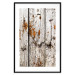 Poster Timeless Tale - texture of wooden planks with brown dust 124489 additionalThumb 15