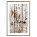 Poster Timeless Tale - texture of wooden planks with brown dust 124489 additionalThumb 14