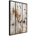 Poster Timeless Tale - texture of wooden planks with brown dust 124489 additionalThumb 10