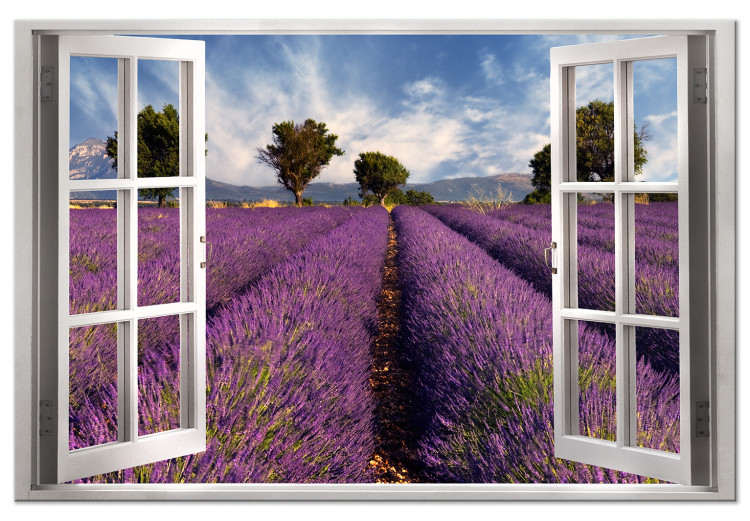 Large canvas print Lavender Field [Large Format] 125589