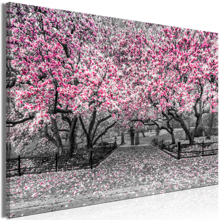 Canvas Print Magnolia Park (1-part) wide - pink flowers in a gray setting 128789 additionalImage 2