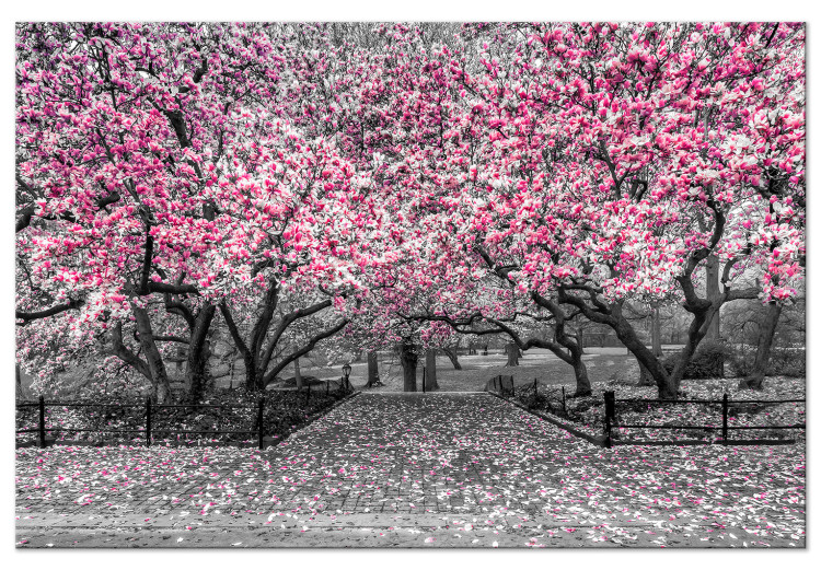 Canvas Print Magnolia Park (1-part) wide - pink flowers in a gray setting 128789