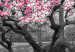 Canvas Print Magnolia Park (1-part) wide - pink flowers in a gray setting 128789 additionalThumb 4