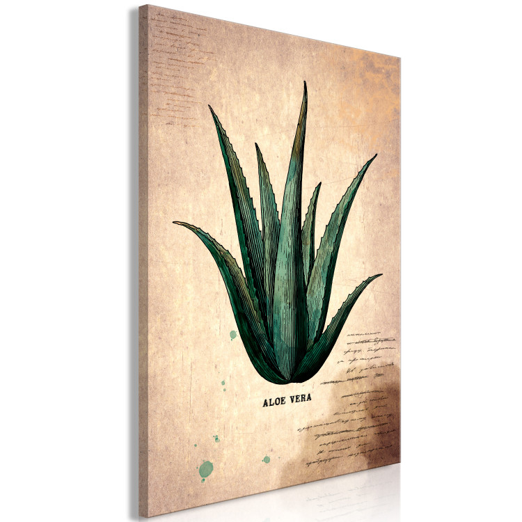 Canvas Herb Notebook Page (1-part) vertical - aloe leaf in vintage style 129389 additionalImage 2