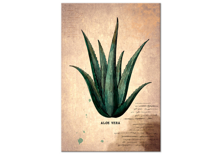 Canvas Herb Notebook Page (1-part) vertical - aloe leaf in vintage style 129389