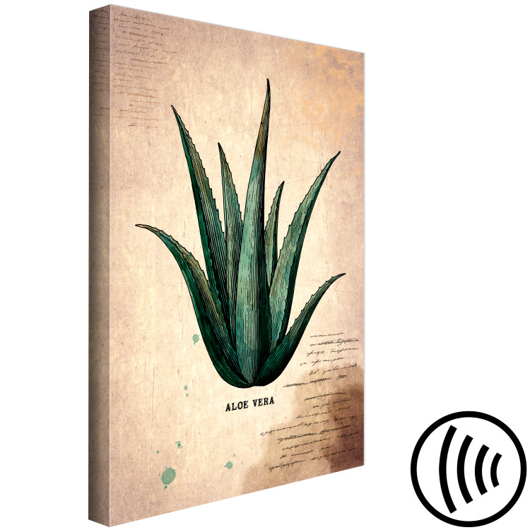 Canvas Herb Notebook Page (1-part) vertical - aloe leaf in vintage style 129389 additionalImage 6