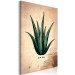 Canvas Herb Notebook Page (1-part) vertical - aloe leaf in vintage style 129389 additionalThumb 2