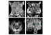 Canvas Print Big Cats (4-piece) - black and white lions in an oriental ambiance 129889