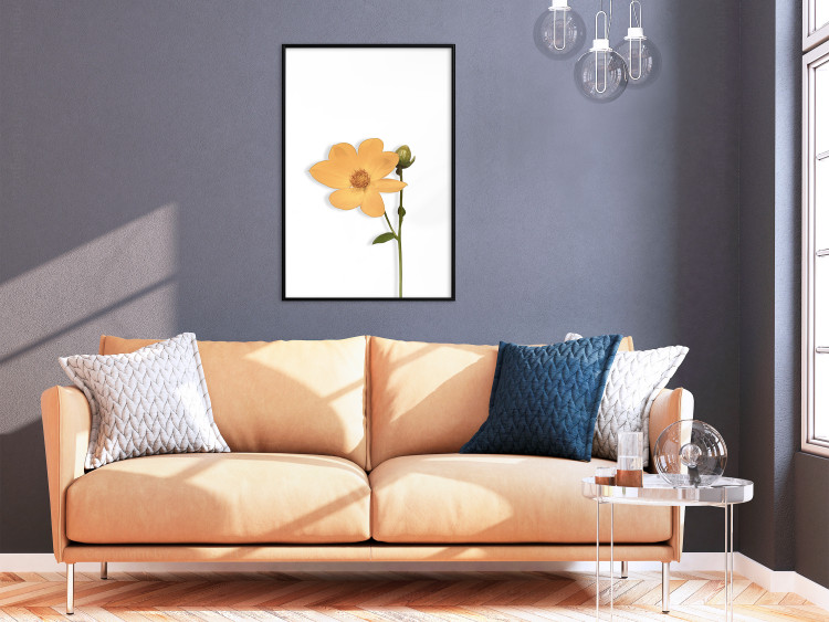 Poster Lovely Flower - a plant with a yellow flower on a uniform white background 130789 additionalImage 4