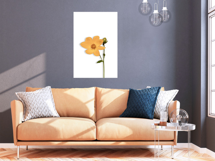 Poster Lovely Flower - a plant with a yellow flower on a uniform white background 130789 additionalImage 2