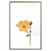 Poster Lovely Flower - a plant with a yellow flower on a uniform white background 130789 additionalThumb 20