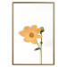 Poster Lovely Flower - a plant with a yellow flower on a uniform white background 130789 additionalThumb 18