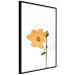 Poster Lovely Flower - a plant with a yellow flower on a uniform white background 130789 additionalThumb 11
