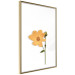 Poster Lovely Flower - a plant with a yellow flower on a uniform white background 130789 additionalThumb 7