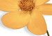 Poster Lovely Flower - a plant with a yellow flower on a uniform white background 130789 additionalThumb 10